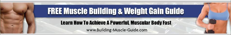 Muscle Building Guide